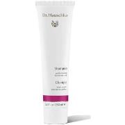 Shampooings Dr. Hauschka Shampoing Doux