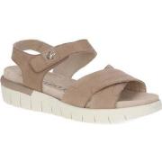 Sandales Caprice bark suede casual open sandals