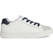 Baskets basses enfant Geox nashik sneakers white navy