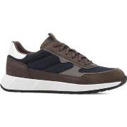 Baskets basses Geox molveno sneakers dk olive navy