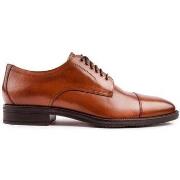 Derbies Cole Haan Modern Essentials Oxford Chaussures À Lacets