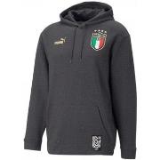 Sweat-shirt Puma Figc Ftbl Coulture Hoody