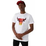 T-shirt New-Era CHICAGO BULLS SUMMER CITY