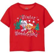 T-shirt enfant Paw Patrol Winter Wonderland