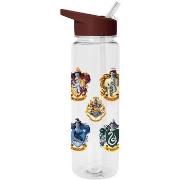 Bouteilles Harry Potter PM8345