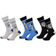 Chaussettes Disney Chaussettes Pack HOMME STW