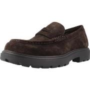 Mocassins Geox U SPHERICA