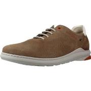 Derbies Fluchos F1158