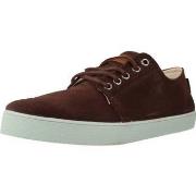 Derbies Pompeii HIGBY SUEDE