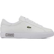 Baskets Lacoste Powercourt Formateurs