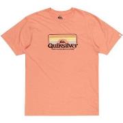 T-shirt Quiksilver Step inside ss