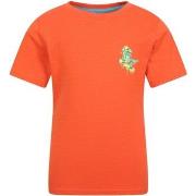 T-shirt enfant Mountain Warehouse MW2535