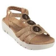 Chaussures Amarpies Sandale femme 26556 abz bronze
