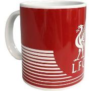 Accessoire sport Liverpool Fc TA4382