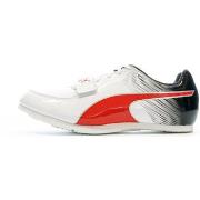 Chaussures Puma 377002-02