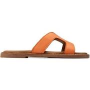 Claquettes Sole Noor Slide Des Sandales