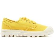 Baskets Palladium PAMPA OXFORD