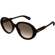 Lunettes de soleil Chloe CH0221S Lunettes de soleil, Havana/Marron, 55...