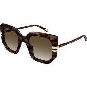 Lunettes de soleil Chloe CH0240S Lunettes de soleil, Havana/Marron, 53...