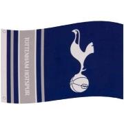 Accessoire sport Tottenham Hotspur Fc SG20000