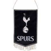 Accessoire sport Tottenham Hotspur Fc TA11534