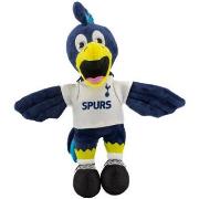 Accessoire sport Tottenham Hotspur Fc TA11548