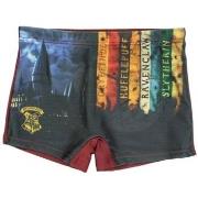 Maillots de bain enfant Harry Potter Boxer