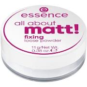 Blush &amp; poudres Essence Poudre Libre Fixante All About Matt!