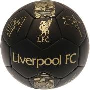 Accessoire sport Liverpool Fc Phantom