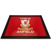 Accessoire sport Liverpool Fc TA9559