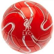 Accessoire sport Liverpool Fc Cosmos