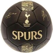 Accessoire sport Tottenham Hotspur Fc Phantom