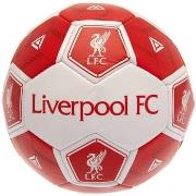 Accessoire sport Liverpool Fc TA9609