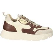 Baskets basses Steve Madden Sneaker