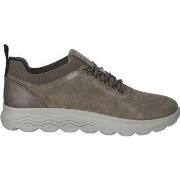 Baskets basses Geox Sneaker