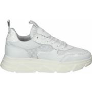 Baskets basses Steve Madden Sneaker