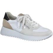 Baskets basses Paul Green Sneaker