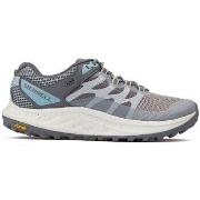 Chaussures Merrell Antora 3 Formateurs