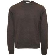 Pull Filippo De Laurentis -