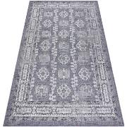 Tapis Rugsx Tapis SIZAL SION Cadre, ornement, vintage 2832 120x170 cm