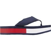 Ville basse Tommy Hilfiger EN0EN02114 C87