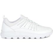 Baskets Geox U Spherica sneaker