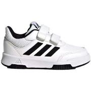 Chaussures adidas -