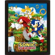 Cadres photo Sonic The Hedgehog TA10695