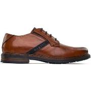 Derbies Bugatti Derby Des Chaussures