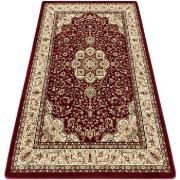 Tapis Rugsx Tapis ROYAL AGY modèle 0521 bordeaux 200x290 cm