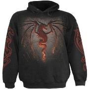 Sweat-shirt Spiral Dragon Furnace