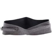 Ceinture Saint Laurent Ceinture en cuir