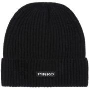 Chapeau Pinko 104489A1CH