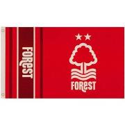 Accessoire sport Nottingham Forest Fc TA10310